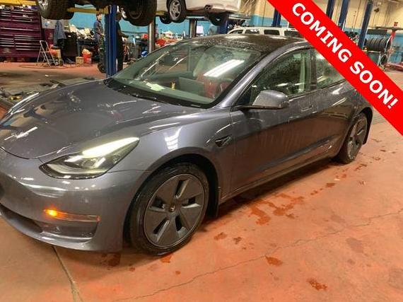 TESLA MODEL 3 2023 5YJ3E1EA5PF675389 image